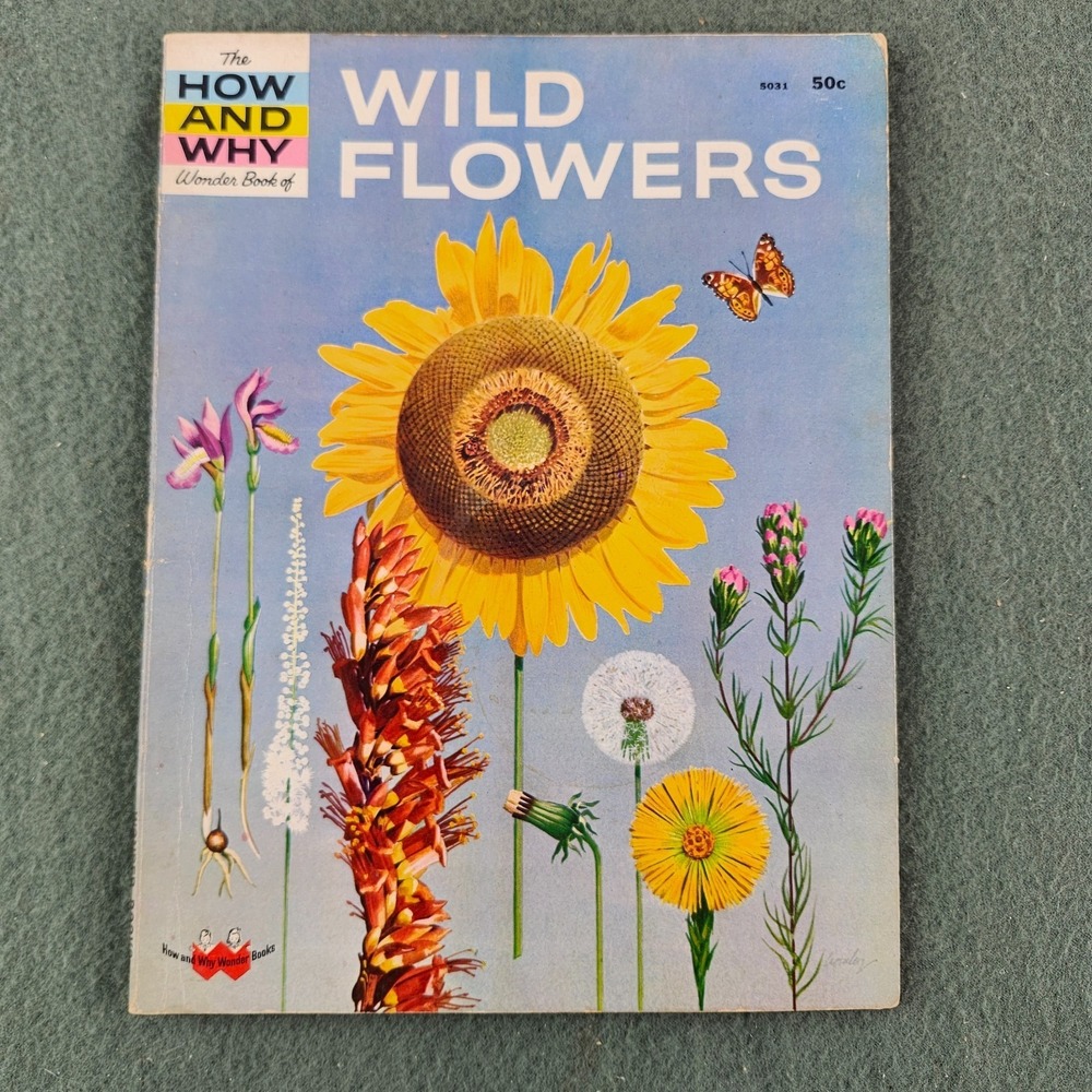 The How and‎ Why Wonder Book of Wild Flowers 1962 Vintage Children's Book